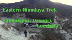 sandakphu-phalut trek, dzongril - goechala trek